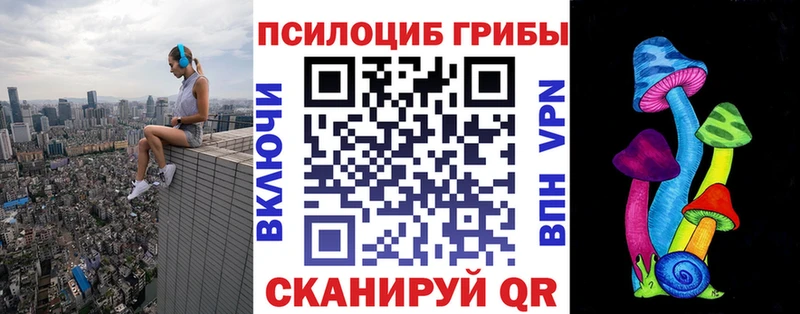 Псилоцибиновые грибы Psilocybe  купить наркотик  Юрьевец 